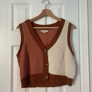 American Eagle Brown and White Knit Vest